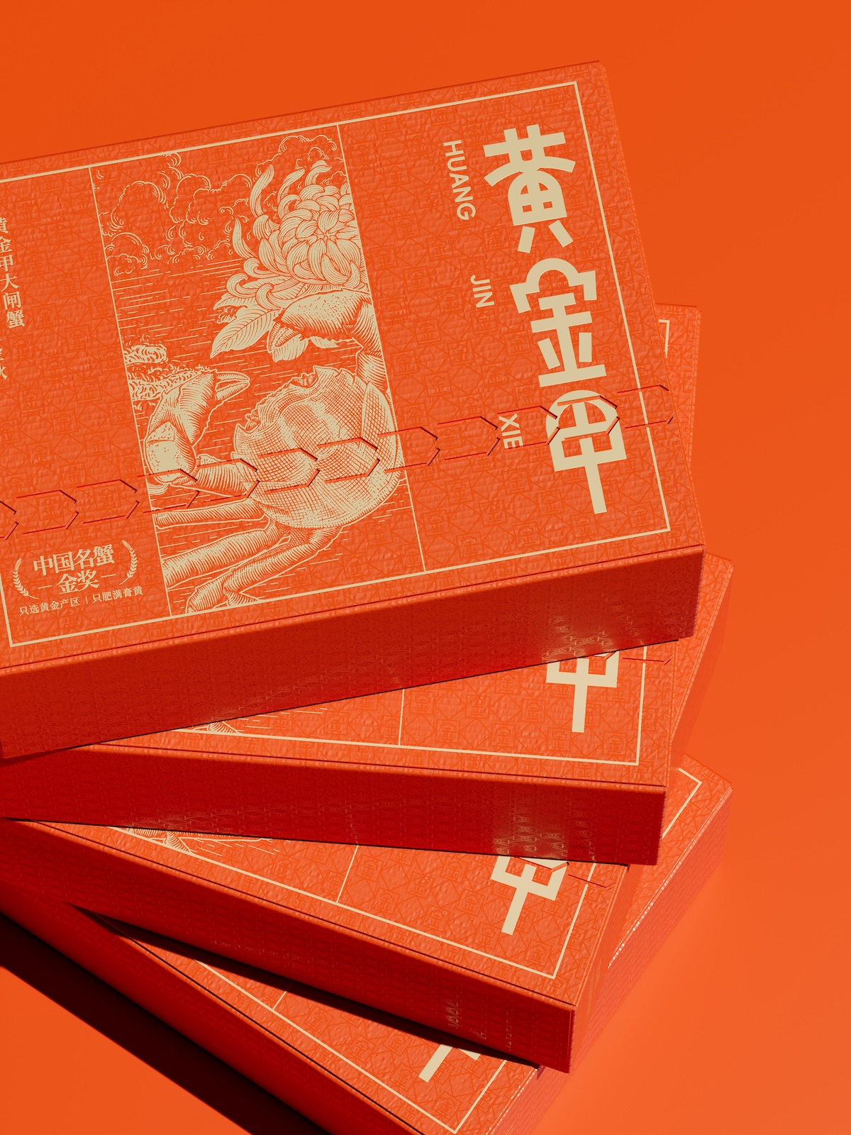 俯视叠加2.jpg 俯视叠加2.jpg