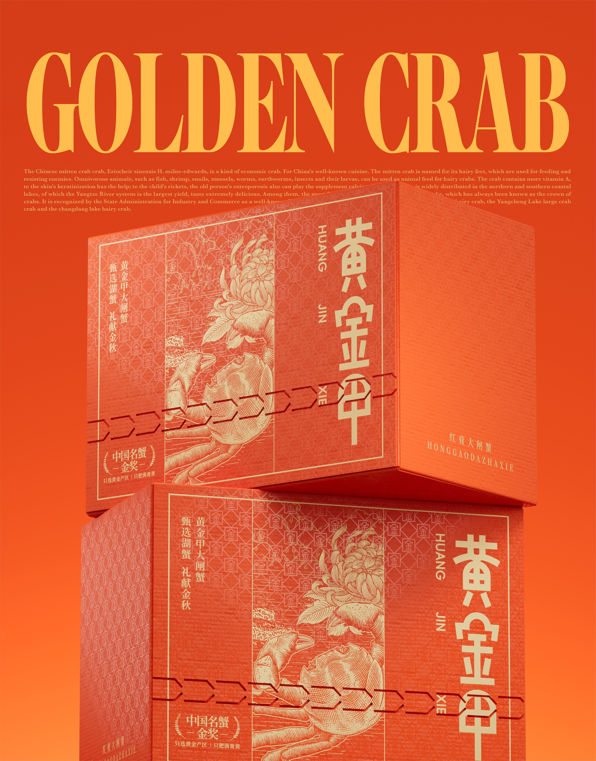 黄金甲大闸蟹包装图片-14.jpg